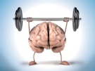 BRAIN FITNESS TRAINING